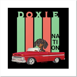 Doxie Nation Posters and Art